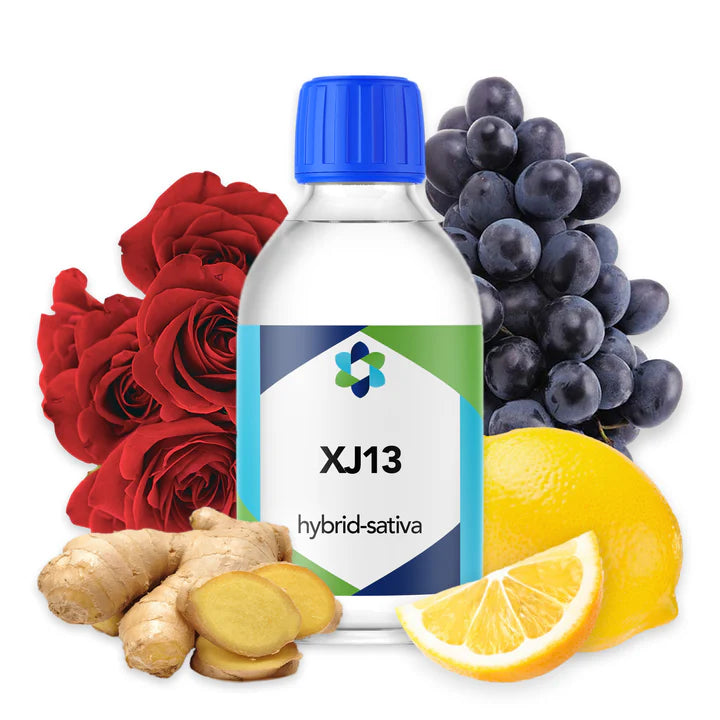 XJ-13 - CORONA CASH AND CARRY