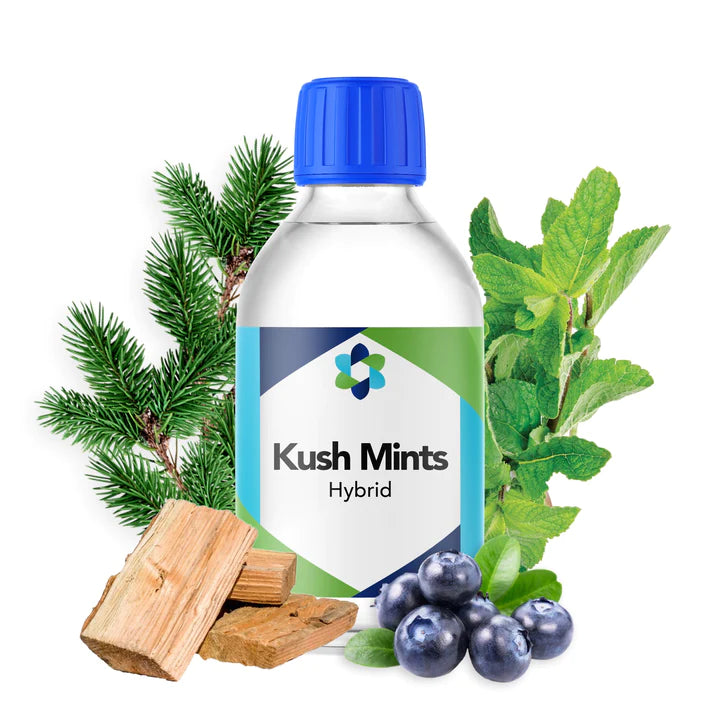 Kush Mints Hybrid Terpene  - CORONA CASH AND CARRY