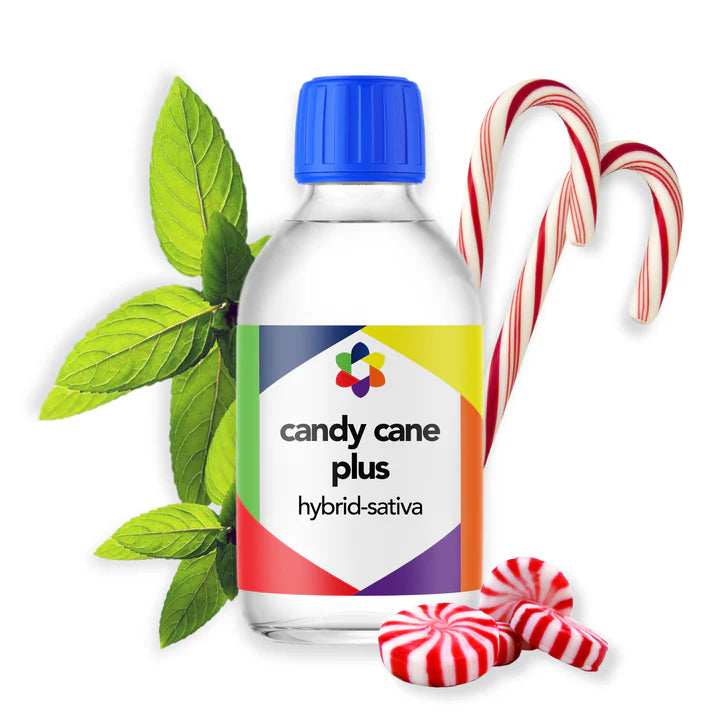 Candy Cane Plus - CORONA CASH AND CARRY