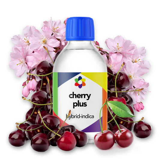 Cherry Plus