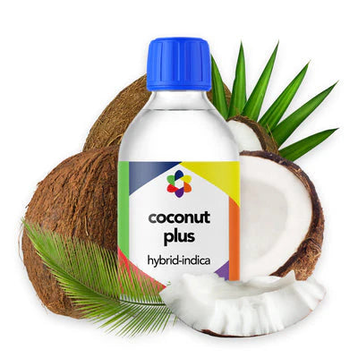 Coconut Plus - CORONA CASH AND CARRY