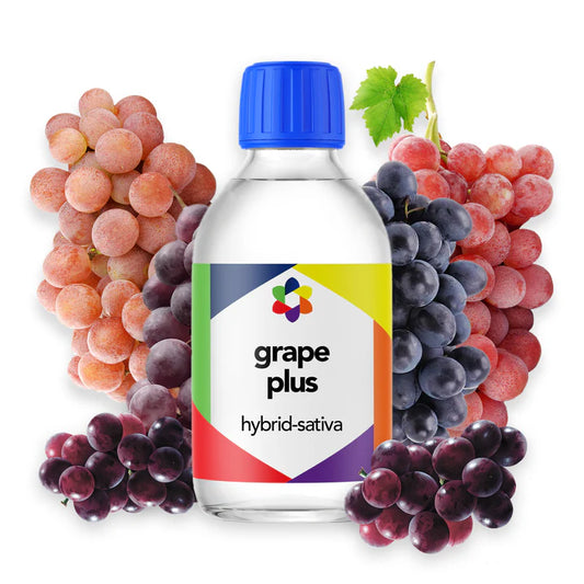 Grape - CORONA CASH AND CARRY