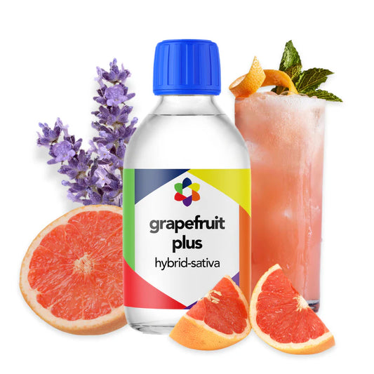 Grapefruit Plus - CORONA CASH AND CARRY