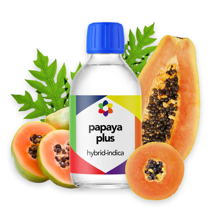 Papaya Plus - CORONA CASH AND CARRY