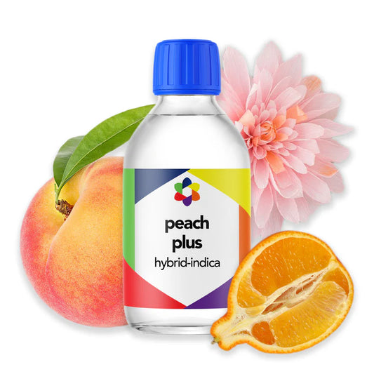 Peach Plus - CORONA CASH AND CARRY