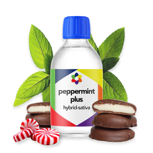 Peppermint Plus - CORONA CASH AND CARRY