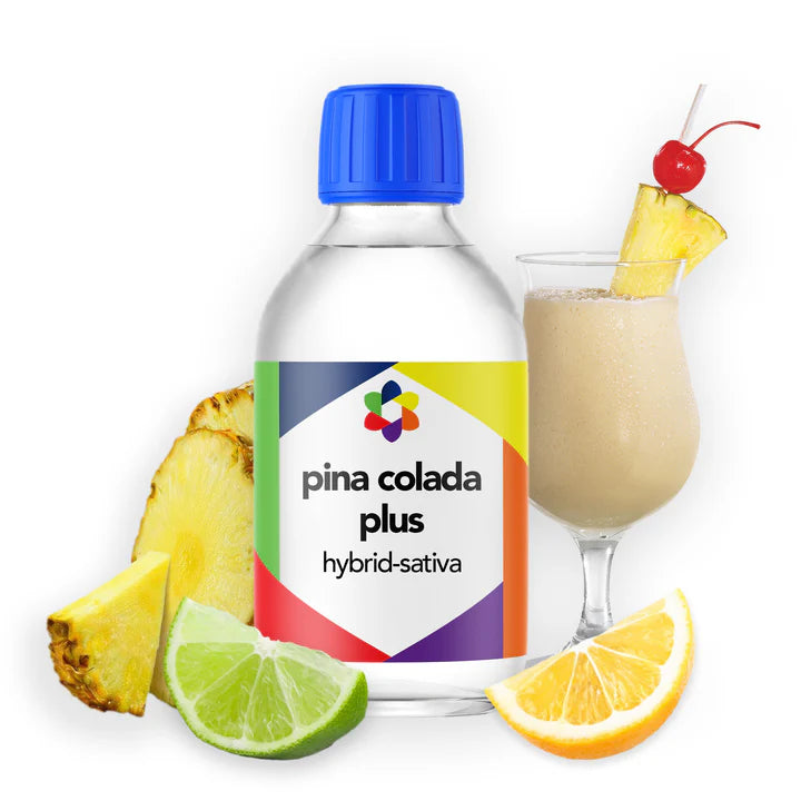 Pina Colada - CORONA CASH AND CARRY