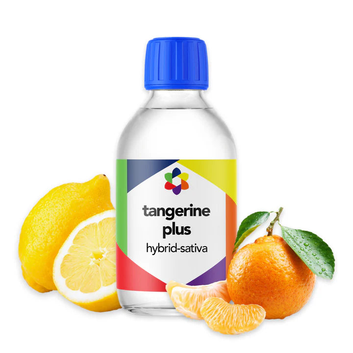 Tangerine Plus - CORONA CASH AND CARRY