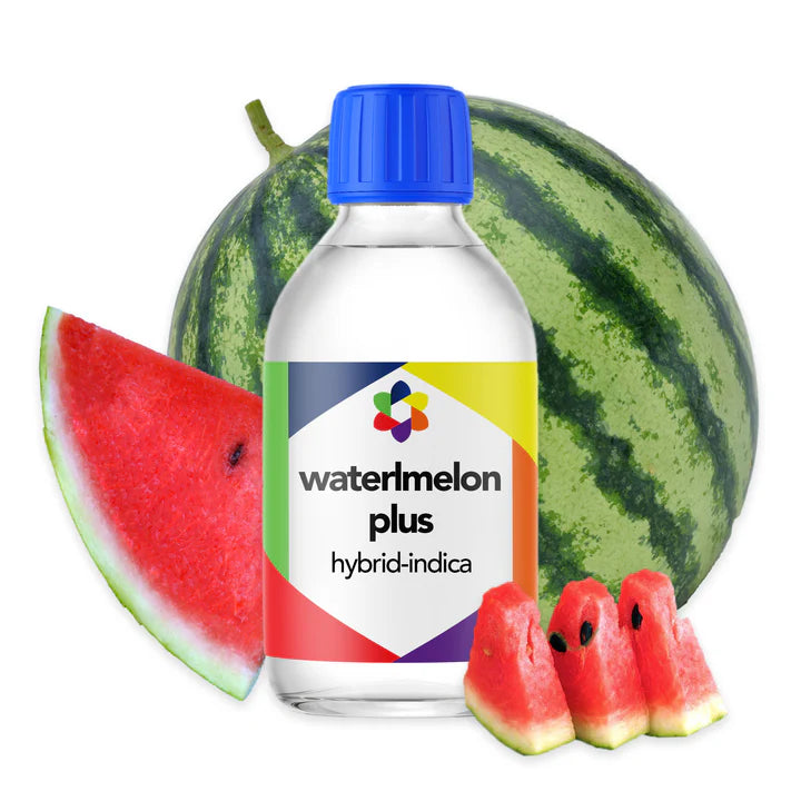 Watermelon Plus - CORONA CASH AND CARRY