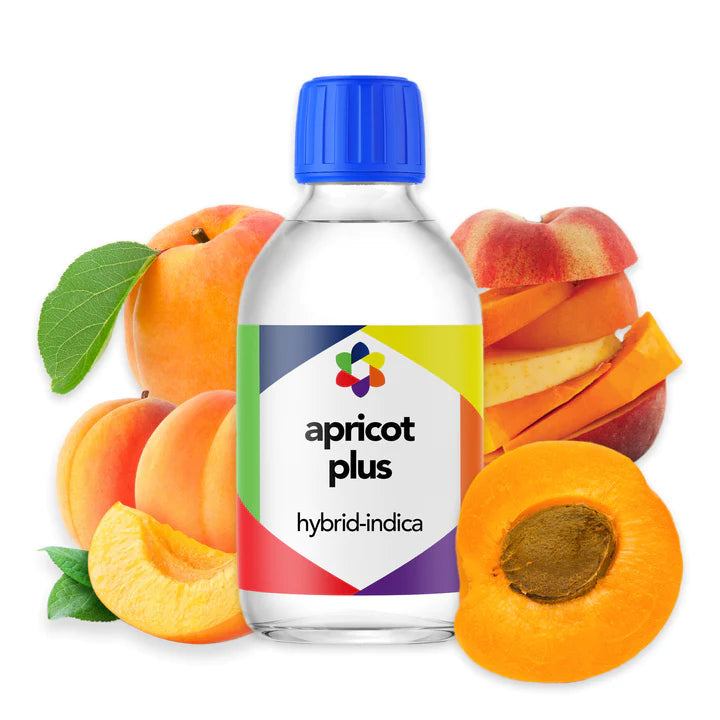 Apricot PLUS Hybrd-Indica Terpene - CORONA CASH AND CARRY
