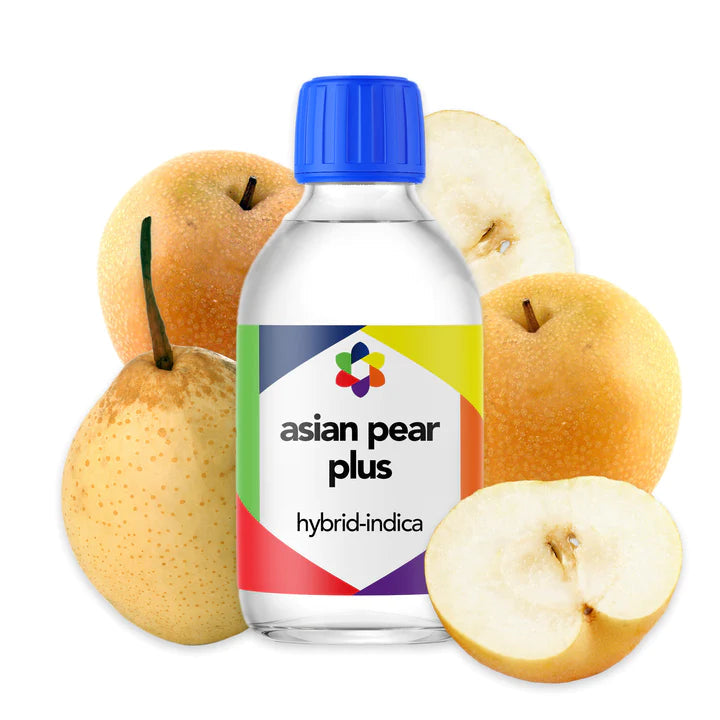 Asian Pear PLUS Hybrid-Indica Terpene