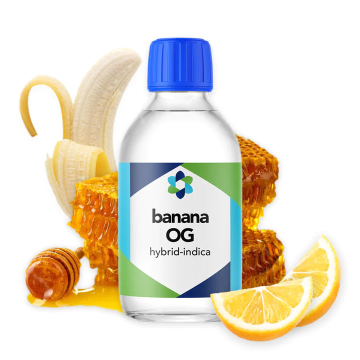 Banana OG Hybrid-Indica Terpene  - CORONA CASH AND CARRY