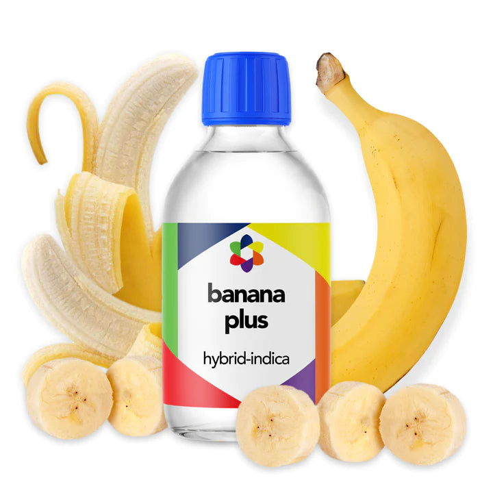 Banana PLUS Hybrid-Indica Terpene  - CORONA CASH AND CARRY