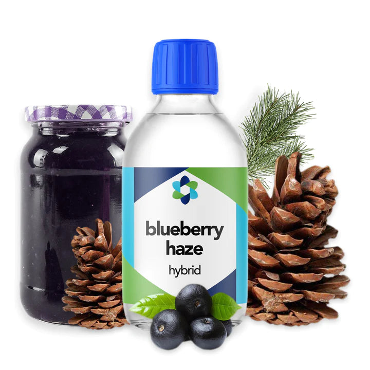 Blueberry Haze Hybrid Terpene  - CORONA CASH AND CARRY